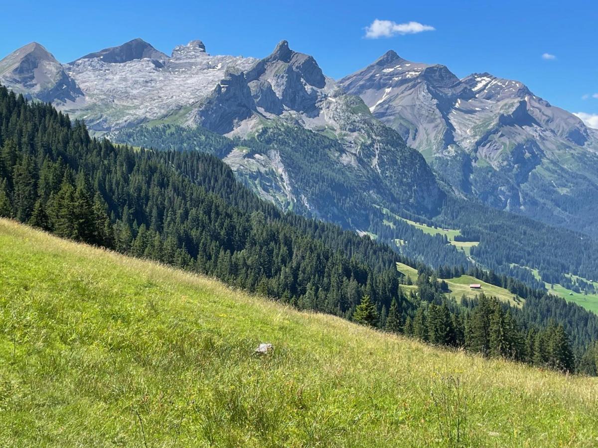 Alpen Charme - Chalet D'Hotes Et Spa Gsteig Buitenkant foto
